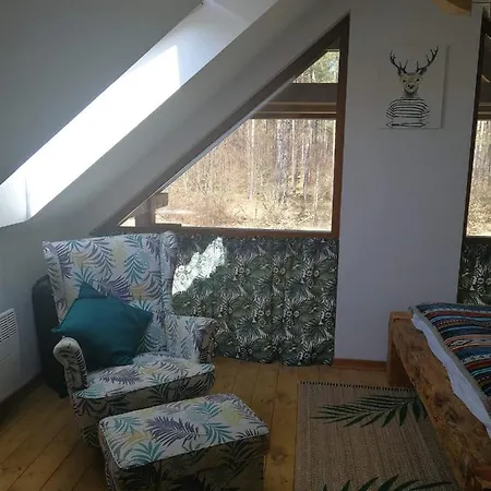 Lesna Ostoja Holiday home *